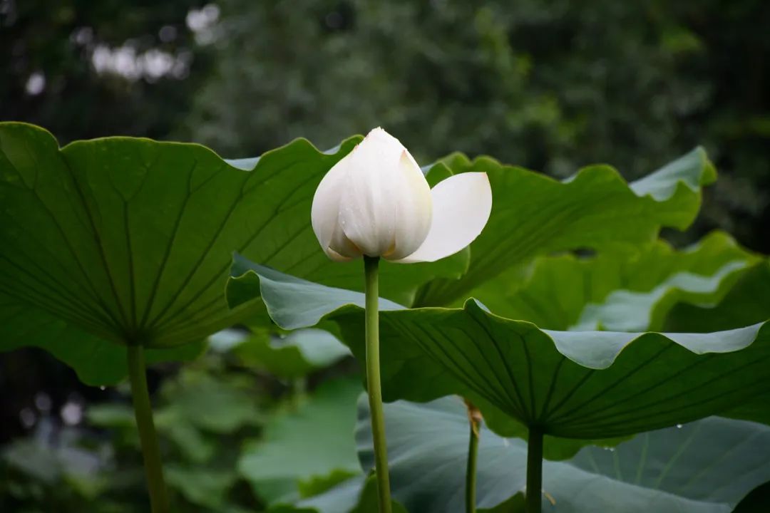 微信图片_20220118145812.jpg