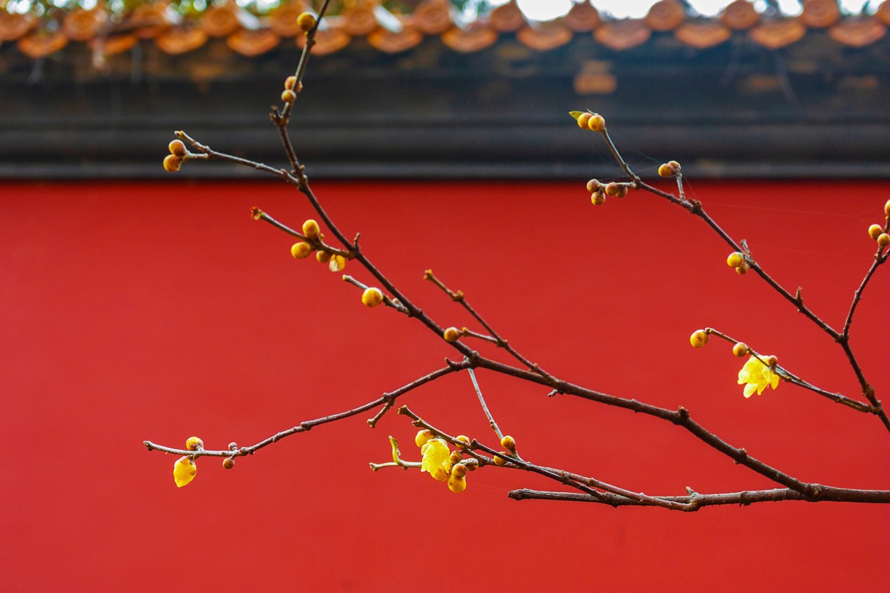 微信图片_20220122212055.jpg