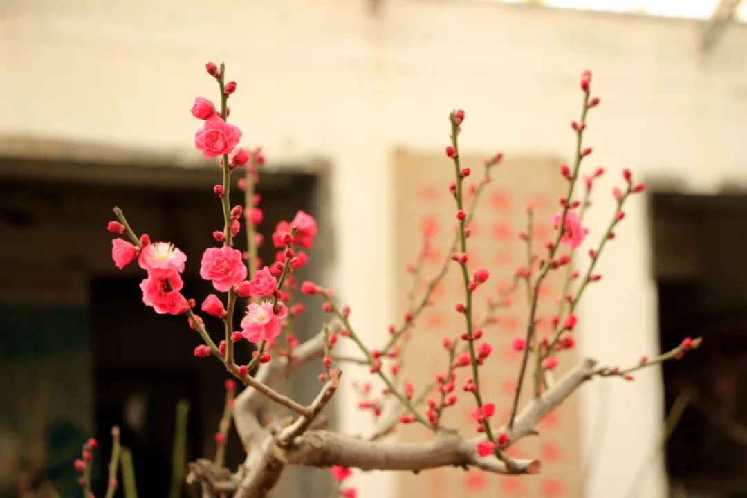 微信图片_20220203224322.jpg