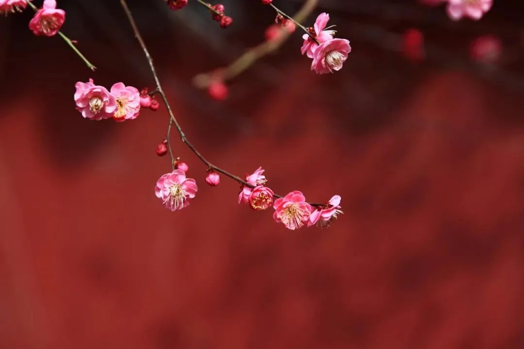 微信图片_20220213230906.jpg