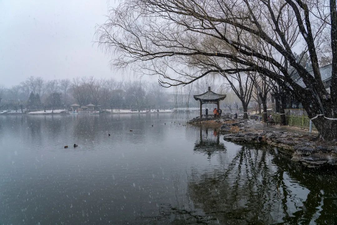微信图片_20220217225004.jpg