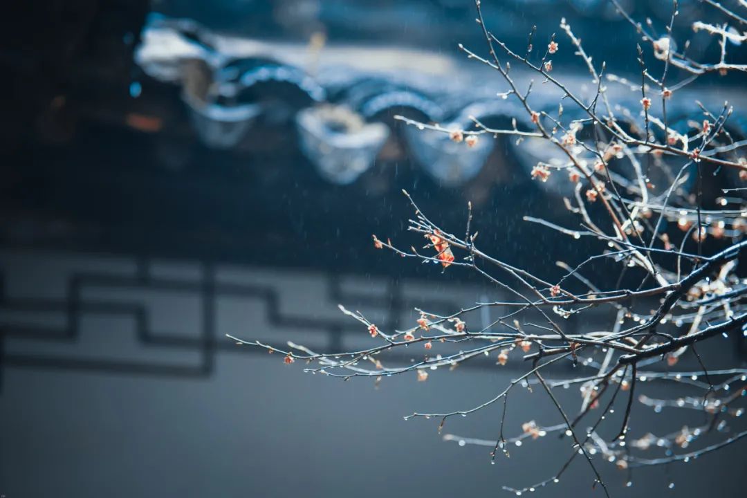 微信图片_20220218223030.jpg