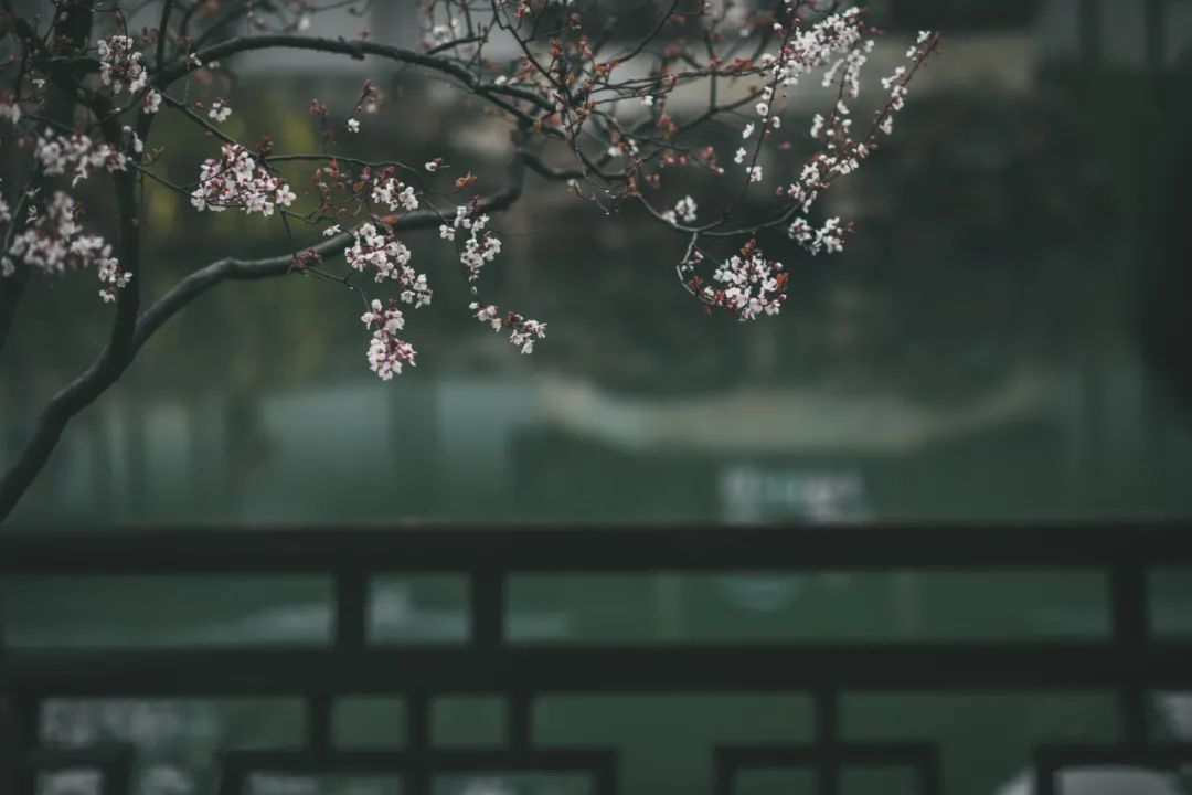 微信图片_20220218224209.jpg