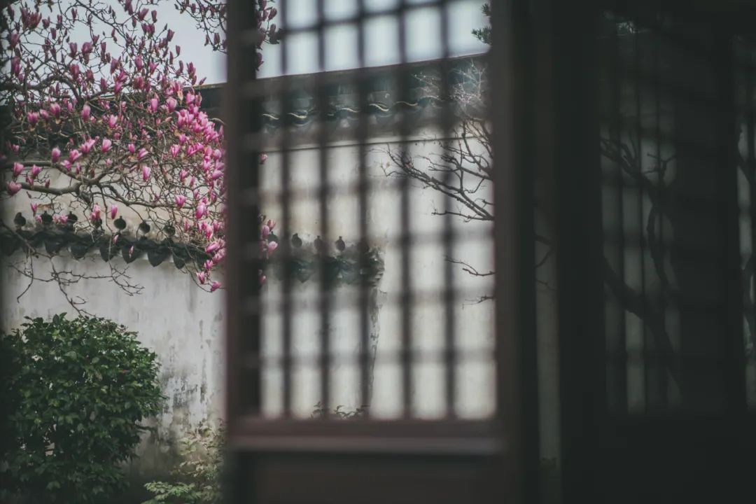 微信图片_20220218224211.jpg