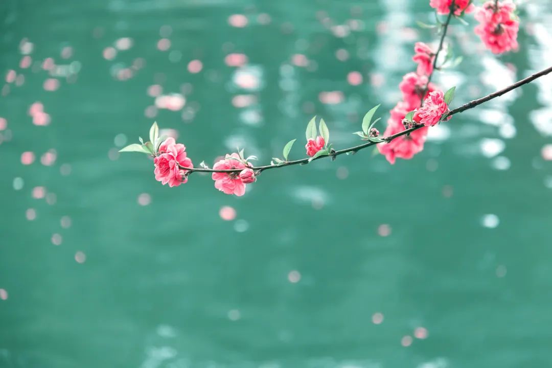 微信图片_20220306215248.jpg