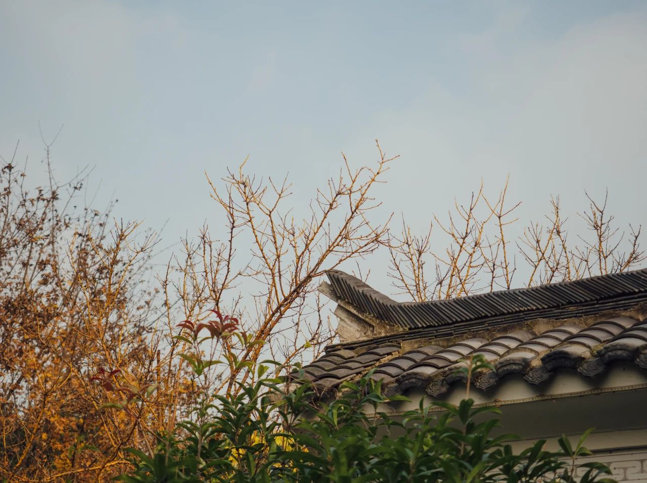 1648619229239241.jpg 微信图片_20220309214959.jpg